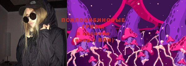молекула духа Мегион