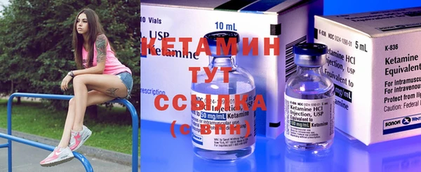 прущие грибы Анжеро-Судженск